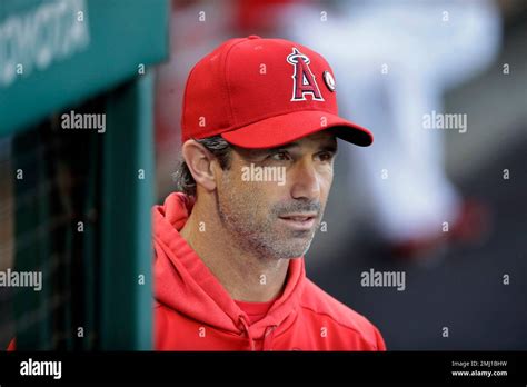 california angels manager